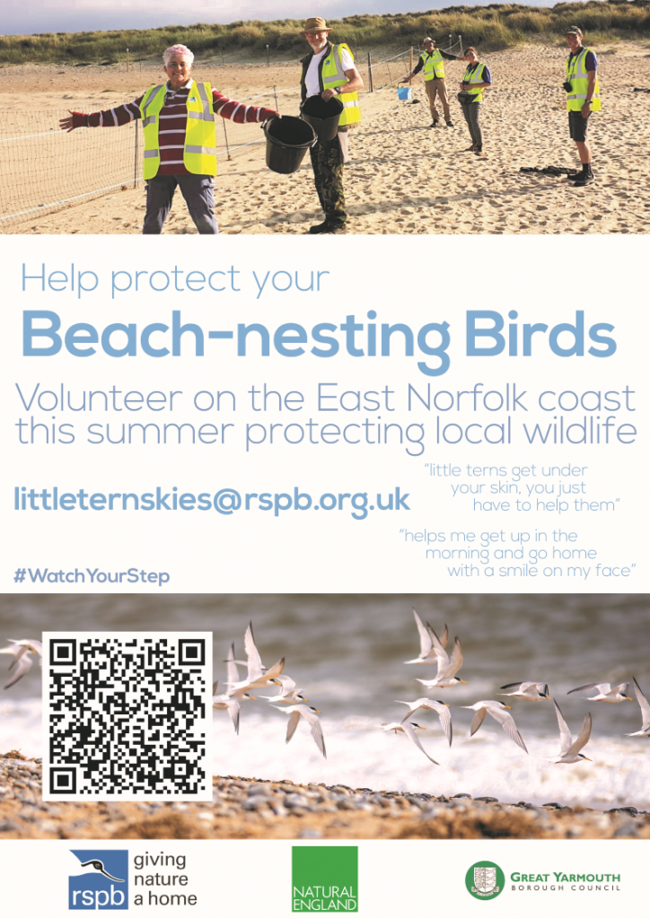 Beach Warden Volunteer Poster